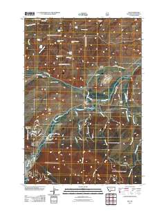 Nye 2011 topographic map thumbnail