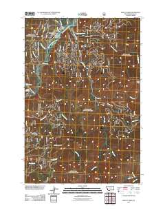 Piquett Creek 2011 topographic map thumbnail