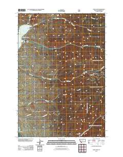 Ruby Dam 2011 topographic map preview
