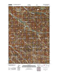 Reanus Cone 2011 topographic map thumbnail