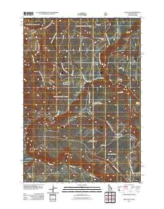 Reas Pass 2011 topographic map thumbnail