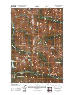 Tenmile Lake 2011 topographic map thumbnail