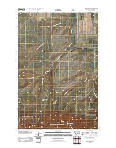 Twin Sisters 2011 topographic map thumbnail