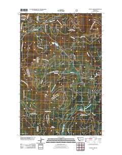 Sylvia Lake 2011 topographic map thumbnail