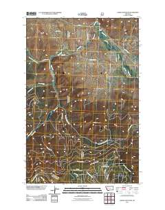 Saddle Mountain 2011 topographic map thumbnail