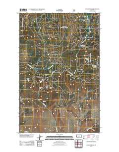 Kofford Ridge 2011 topographic map thumbnail
