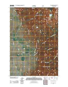 Lake Cameron 2011 topographic map thumbnail