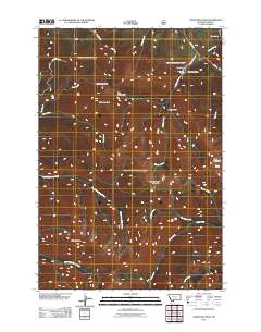 Livingston Peak 2011 topographic map thumbnail
