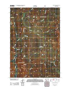 Pika Point 2011 topographic map thumbnail