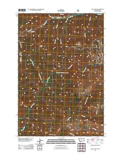Bare Cone 2011 topographic map thumbnail