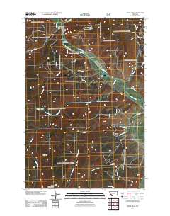 Dickie Hills 2011 topographic map thumbnail