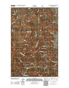 Blowout Mountain 2011 topographic map thumbnail