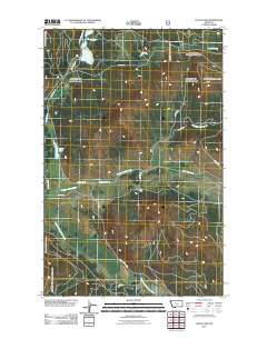 Lynch Lake 2011 topographic map thumbnail
