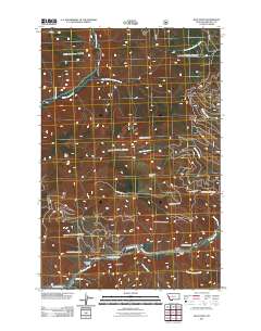 Blue Point 2011 topographic map thumbnail