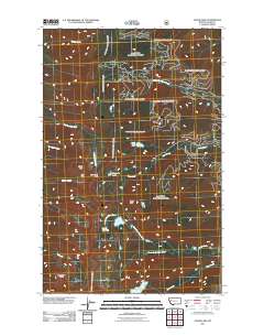 Cedar Lake 2011 topographic map thumbnail