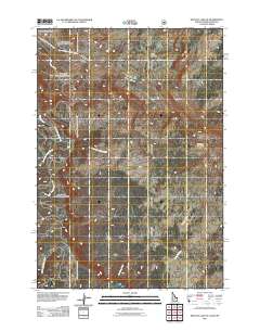 Buffalo Lake NE 2011 topographic map thumbnail