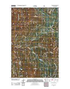 Coney Peak 2011 topographic map thumbnail