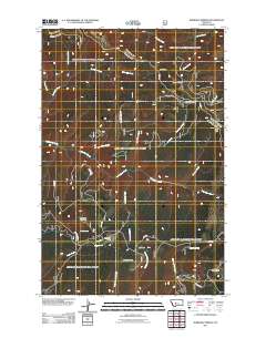 Bubbling Springs 2011 topographic map thumbnail