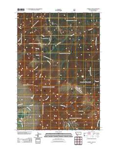 Cherry Lake 2011 topographic map thumbnail