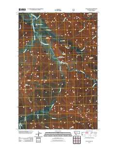 Pilot Peak 2011 topographic map thumbnail