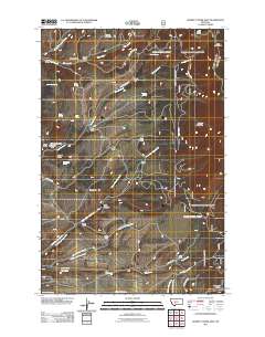 Gurnett Creek East 2011 topographic map thumbnail