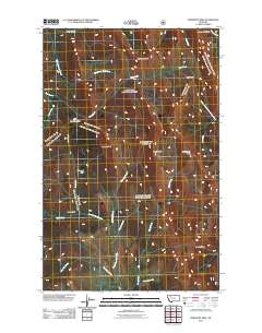 Porphyry Reef 2011 topographic map thumbnail