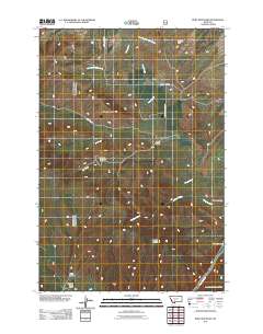 Ruby Mountain 2011 topographic map thumbnail