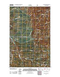 Loneman Creek 2011 topographic map thumbnail