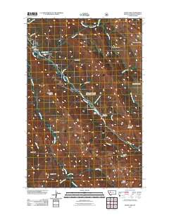 Wood Lake 2011 topographic map thumbnail