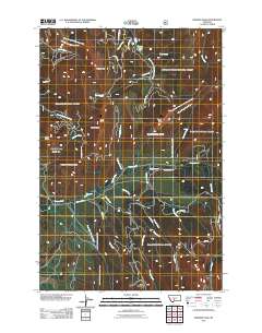 Virginia Peak 2011 topographic map thumbnail