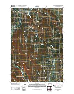 Selway Mountain 2011 topographic map thumbnail