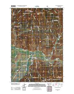 Wise River 2011 topographic map thumbnail