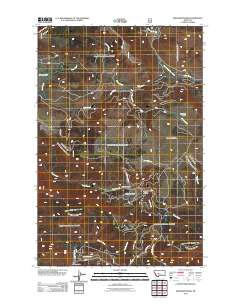 Snedaker Basin 2011 topographic map thumbnail