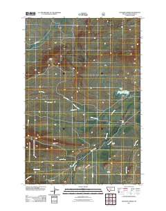 Cinnamon Spring 2011 topographic map thumbnail