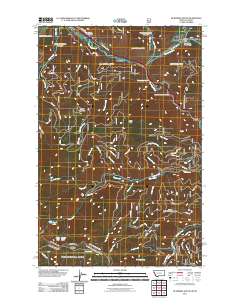 De Borgia South 2011 topographic map thumbnail
