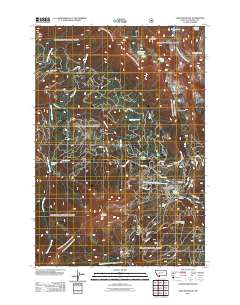 Lone Mountain 2011 topographic map thumbnail