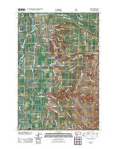 Bing 2011 topographic map thumbnail