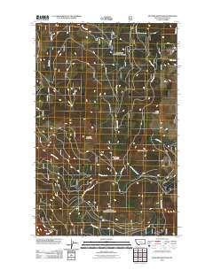 McGuire Mountain 2011 topographic map thumbnail