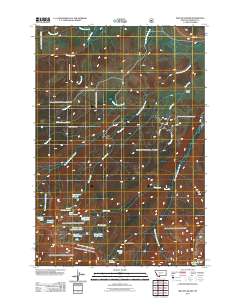 Willow Swamp 2011 topographic map thumbnail