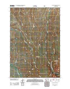 Swamp Creek 2011 topographic map thumbnail