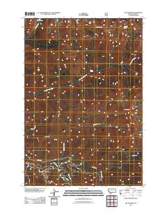 The Pyramid 2011 topographic map thumbnail