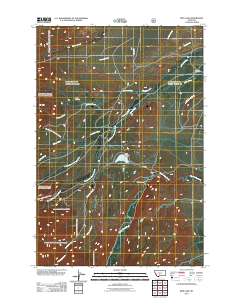 Rein Lake 2011 topographic map thumbnail