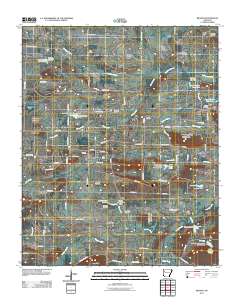 Branch 2011 topographic map thumbnail