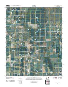 Cotton Plant 2011 topographic map thumbnail