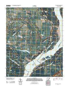 Pecan Point 2011 topographic map thumbnail