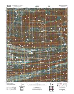 Bee Mountain 2011 topographic map thumbnail
