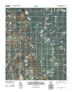 Blue Springs Landing 2011 topographic map thumbnail