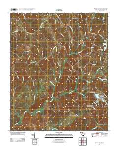 Baton Rouge 2011 topographic map thumbnail