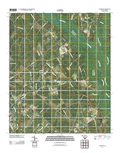 Cummings 2011 topographic map thumbnail