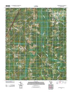 Hendersonville 2011 topographic map thumbnail
